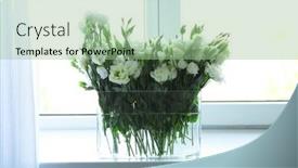  Presentation with flowers vase - 