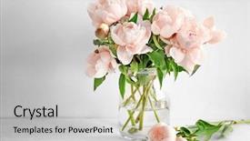  Presentation with peony - Amazing slide set having vase with beautiful peony flowers backdrop and a light gray colored foreground