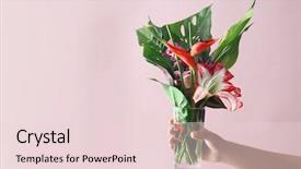  Presentation with tropical flowers - Presentation having vase with beautiful tropical flowers background and a lemonade colored foreground