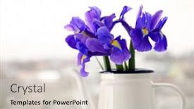  Presentation with flowers vase - Slides having vase with bouquet of beautiful flowers on light background background and a lemonade colored foreground