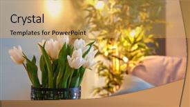  Presentation with brown tulips butterflies - Beautiful presentation theme featuring vase with bouquet of tulips backdrop and a  colored foreground