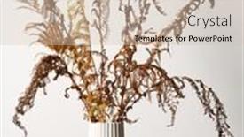  Presentation with fern - Colorful presentation design enhanced with vase-with-dried-fern-leaves backdrop and a soft green colored foreground