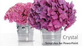  Presentation with hydrangea - Beautiful slide deck featuring vases with bouquets of hydrangea backdrop and a white colored foreground