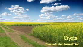  Presentation with bright white - Colorful slides enhanced with vast field of blooming canola backdrop and a tawny brown colored foreground