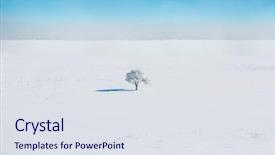  Presentation with single tree - Presentation design enhanced with vastu - single tree in a vast background and a sky blue colored foreground