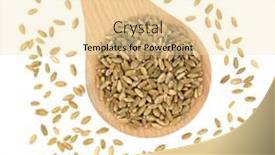  Presentation with vegan food - Amazing presentation theme having vegan-and-vegetarian-freekah-rice backdrop and a lemonade colored foreground