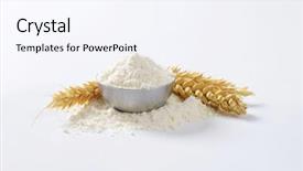  Presentation with purpose - Amazing slide set having vegan protein powder - portion of all-purpose flour backdrop and a sky blue colored foreground