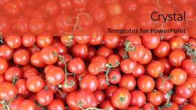  Presentation with tom yum kung traditional food - Audience pleasing slide set consisting of green vegatable - lot of ripe tomato backdrop and a  colored foreground