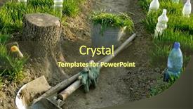  Presentation with mulch - Cool new slides with vegetable beds with plastic bottles backdrop and a tawny brown colored foreground