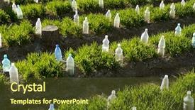  Presentation with wheat growing - PPT theme having vegetable beds with plastic bottles background and a tawny brown colored foreground