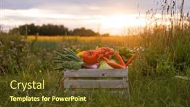  Presentation with farming - Presentation theme having vegetable-box-in-front background and a  colored foreground
