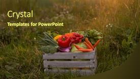  Presentation with farming - Theme consisting of vegetable-box-in-front background and a tawny brown colored foreground