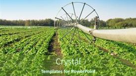  Presentation with irrigation - Presentation theme enhanced with vegetable field and irrigation equipment background and a tawny brown colored foreground
