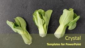  Presentation with chinese food - Presentation enhanced with vegetable-food-and-culinary-concept background and a tawny brown colored foreground