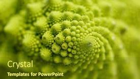  Presentation with culinary - Amazing presentation theme having vegetable-food-and-culinary-concept backdrop and a tawny brown colored foreground