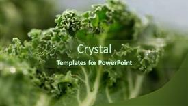  Presentation with culinary - Colorful presentation theme enhanced with vegetable-food-and-culinary-concept backdrop and a tawny brown colored foreground