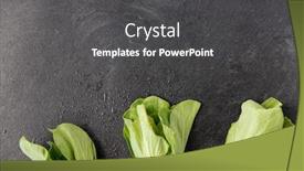  Presentation with chinese food - Presentation theme with vegetable-food-and-culinary-concept background and a dark gray colored foreground