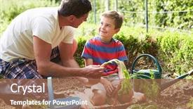  Presentation with carrots - Beautiful slide set featuring blur colorful fancy carp fish backdrop and a tawny brown colored foreground