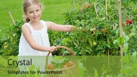  Presentation with vegetable garden - Presentation theme having vegetable garden - little girl picking background and a tawny brown colored foreground