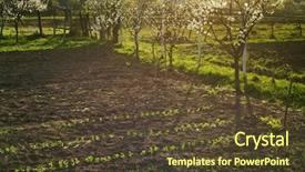  Presentation with vegetable garden - Presentation featuring vegetable garden at spring background and a tawny brown colored foreground