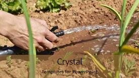  Presentation with vegetable garden - Amazing presentation design having vegetable garden irrigation - closeup of the hand backdrop and a coral colored foreground