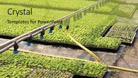  Presentation with vegetable garden - Slide deck featuring vegetable garden irrigation - greenhouse watering system in action background and a yellow colored foreground