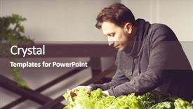  Presentation with plants growing - Slides enhanced with vegetable garden irrigation - handsome young grower carefully checking background and a  colored foreground