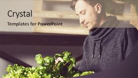  Presentation with plants growing - Slides having vegetable garden irrigation - handsome young grower carefully irrigating background and a  colored foreground