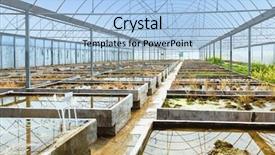  Presentation with vegetable farm - Slide set enhanced with vegetable garden irrigation - old empty farm plant breeding background and a light blue colored foreground