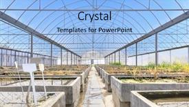  Presentation with old farm - Amazing presentation design having vegetable garden irrigation - old empty farm plant breeding backdrop and a light blue colored foreground
