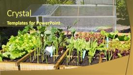 Presentation with vegetable garden - Cool new PPT theme with vegetable-garden-with-assortiment-vegetables backdrop and a tawny brown colored foreground