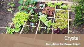  Presentation with container - Presentation theme featuring vegetable garden with assortment vegetables background and a coral colored foreground