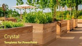  Presentation with vegetable garden - Presentation enhanced with vegetable-garden-with-wooden-raised background and a tawny brown colored foreground