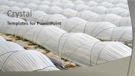  Presentation with greenhouse - PPT layouts featuring vegetable greenhouse background and a light gray colored foreground