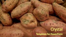  Presentation with harvest - Slide deck with vegetable harvest food and sale concept - close up of sweet potatoes in basket background and a tawny brown colored foreground