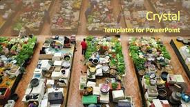  Presentation with market - Beautiful slide set featuring vegetable market in kota bharu backdrop and a coral colored foreground
