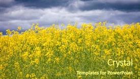  Presentation with vegetable seed - Slide set having vegetable oil - farm crisis background and a tawny brown colored foreground