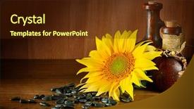  Presentation with vegetable oil - PPT theme consisting of vegetable oil in ceramic ware background and a tawny brown colored foreground