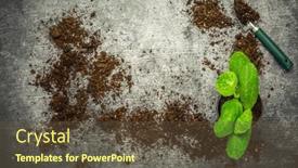  Presentation with vegetable gardening - Presentation design with vegetable-propagation-and-replanting-seedling background and a tawny brown colored foreground