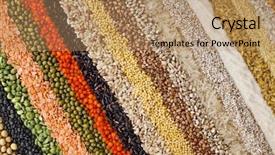  Presentation with beans legumes - Cool new slides with vegetable seed - colorful striped rows of dry backdrop and a coral colored foreground