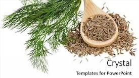  Presentation with vegetable seed - Presentation having vegetable seed - fennel and dill isolated background and a white colored foreground