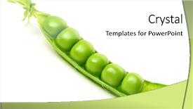  Presentation with vegetable seed - Presentation theme having vegetable seed - peas isolated on white background and a white colored foreground