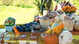  Presentation with stand - Colorful presentation theme enhanced with vegetable-stand-with-preserves-emphasis backdrop and a tawny brown colored foreground