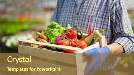  Presentation with harvest - Presentation design consisting of vegetables - good harvest background and a coral colored foreground