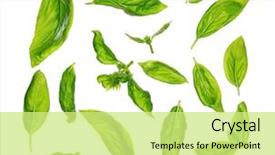  Presentation with sweet basil - Amazing theme having vegetables - top view scattered fresh sweet backdrop and a yellow colored foreground