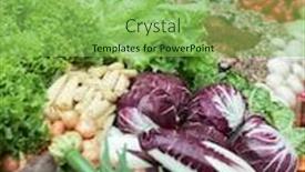  Presentation with lettuce - Cool new presentation with vegetables-and-groceries-in-supermarket backdrop and a seafoam green colored foreground