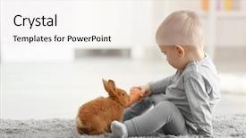  Presentation with home based wound care - Slides having vegetables animals - cute little boy feeding rabbit background and a white colored foreground