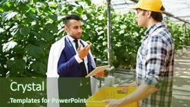  Presentation with genetic - Audience pleasing presentation design consisting of vegetables grown at farm backdrop and a tawny brown colored foreground