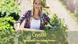  Presentation with vegetable garden - Cool new theme with vegetables in her garden backdrop and a tawny brown colored foreground