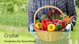  Presentation with vegetable garden - Amazing PPT layouts having vegetables in the garden backdrop and a yellow colored foreground